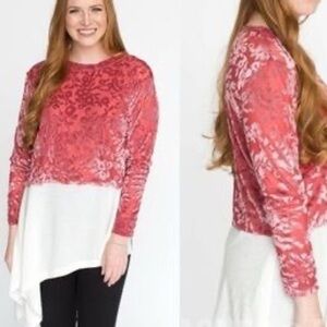 Agnes and Dora/ Blush Velvet Floral Sheer Crop Top